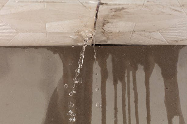 Professional Flood Damage Cleanup technician working in Thornton, CO